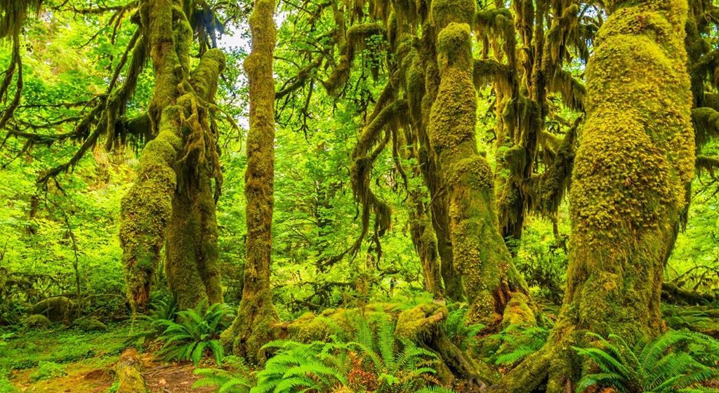 Eva Air – Đai lý  Evaair Việt Nam