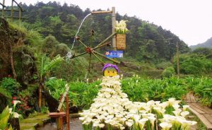 Cảnh đẹp núi Dương Minh